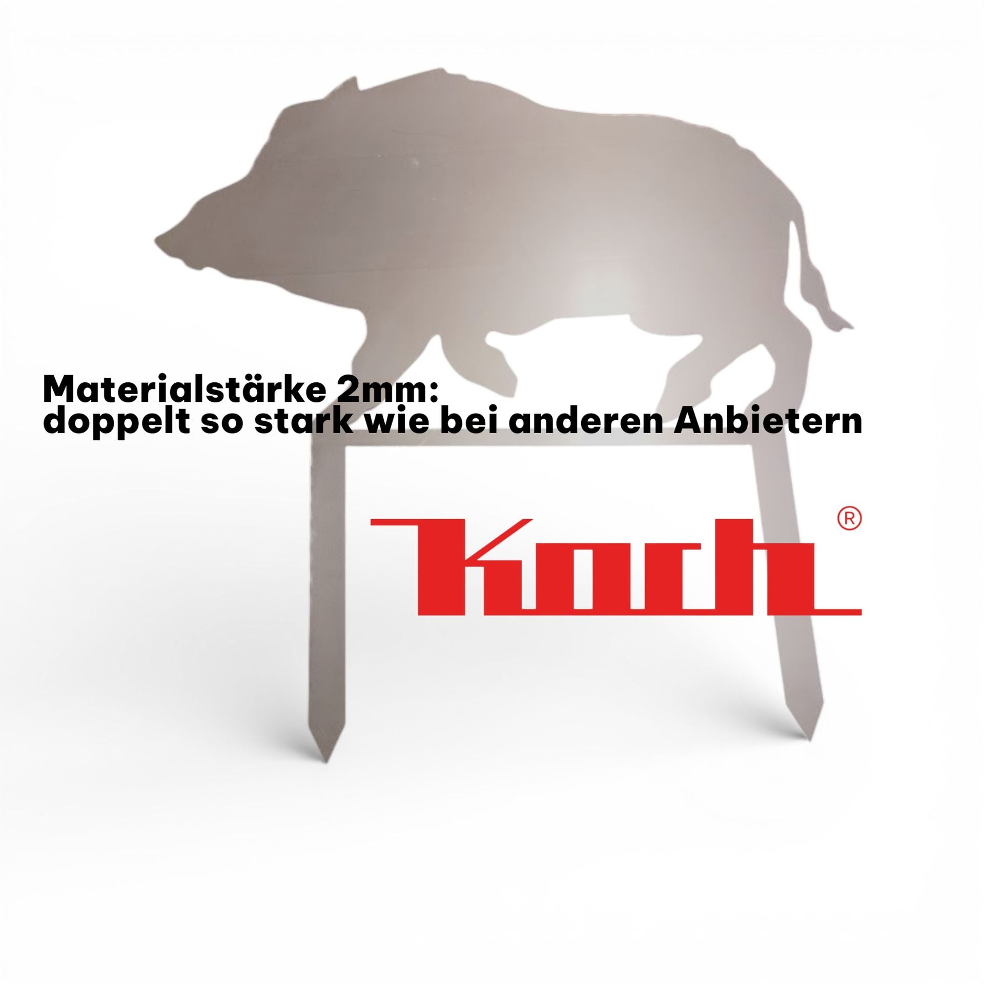 Bache Text-Photoroom (1)