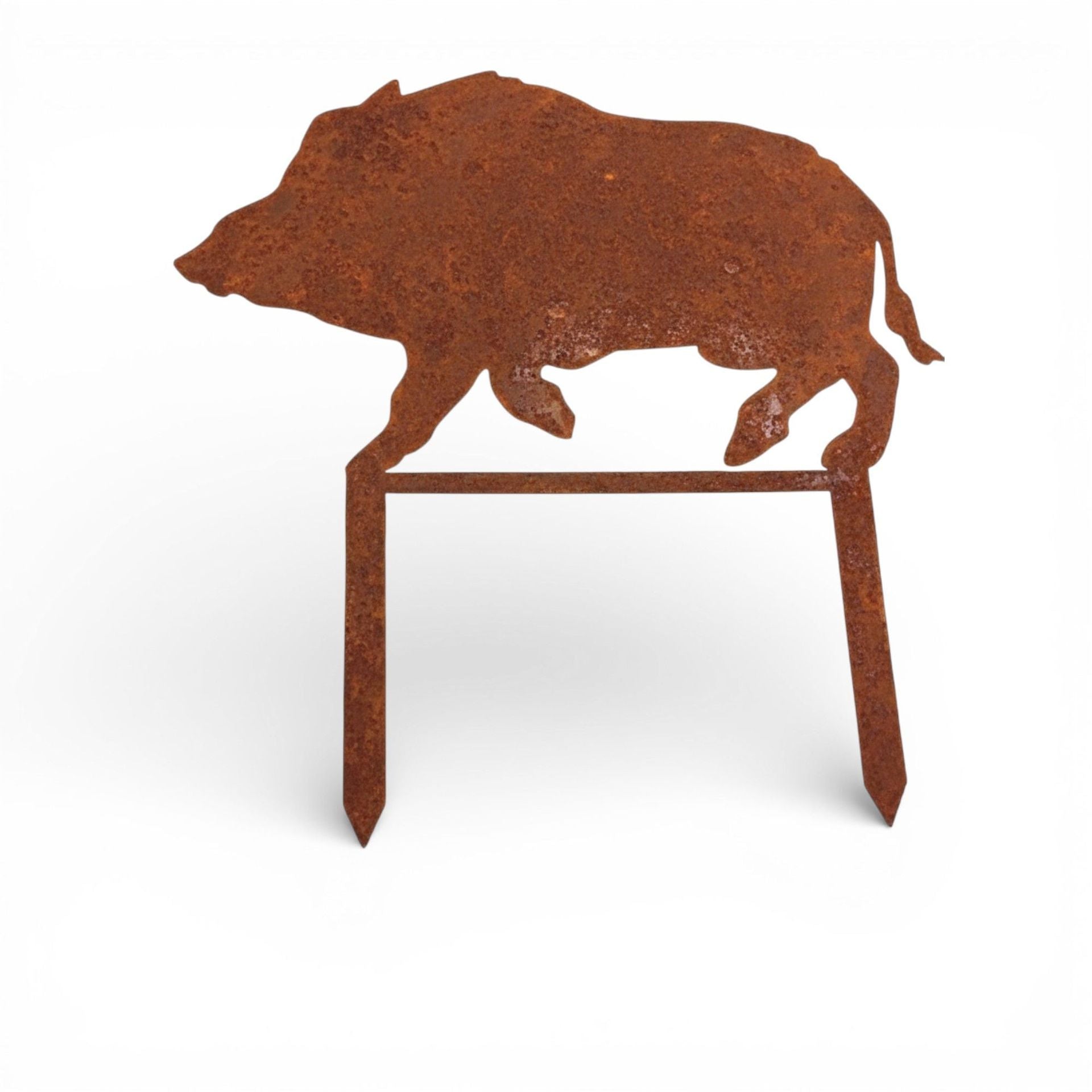 Bache Titel-Photoroom