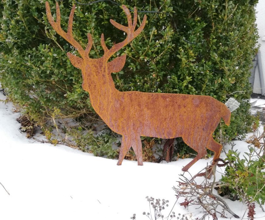 Hirsch im Schnee